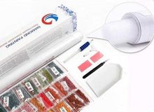 Charger l'image dans la galerie, Kit Broderie Diamant Cadeau et fenêtre