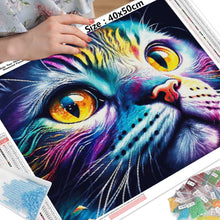 Charger l'image dans la galerie, Kit Broderie Diamant Chat couleur 1