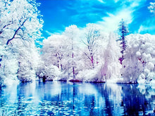 Charger l'image dans la galerie, Arbres Blancs broderie diamant