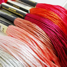 Charger l'image dans la galerie, Kit Broderie Personnalisée (Point de Croix)