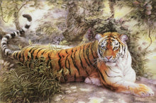 Charger l&#39;image dans la galerie, Tigre se repose
