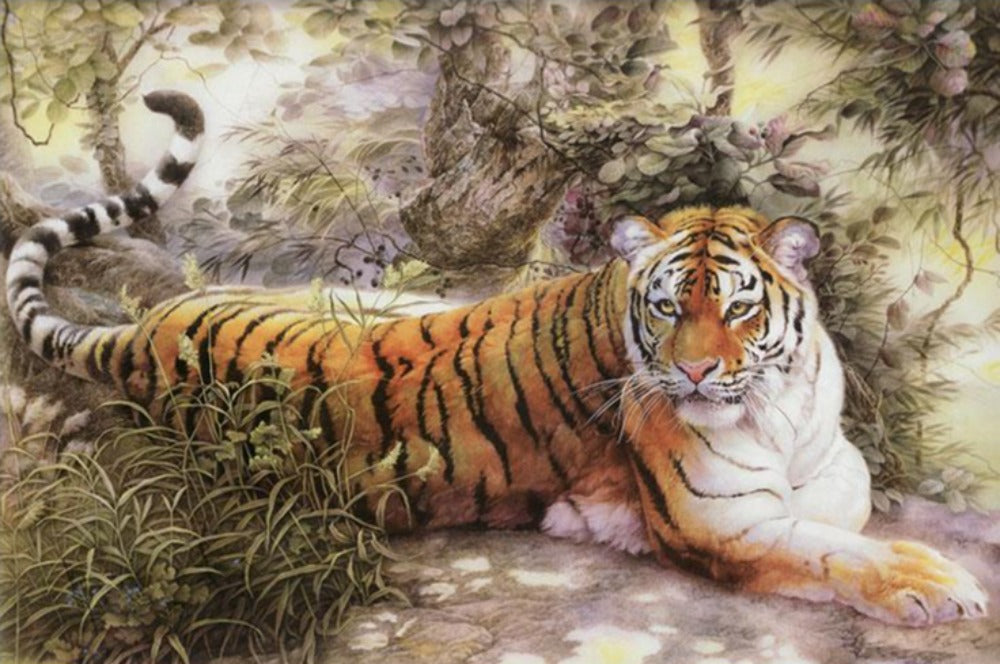 Tigre se repose