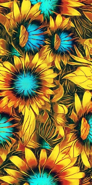 Fleurs de soleil