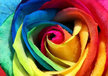 Charger l&#39;image dans la galerie, Rose multicolore
