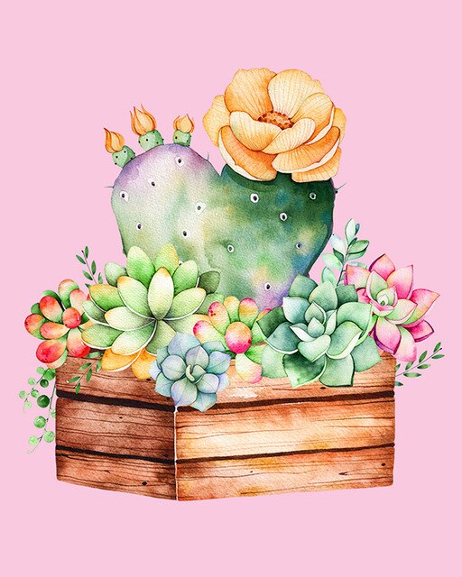Cactus et fleur 2
