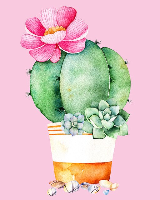 Cactus et fleur