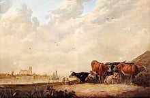 Charger l&#39;image dans la galerie, Troupeau de vaches qui se repose
