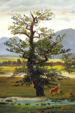 Charger l&#39;image dans la galerie, Vaches près d&#39;un arbre
